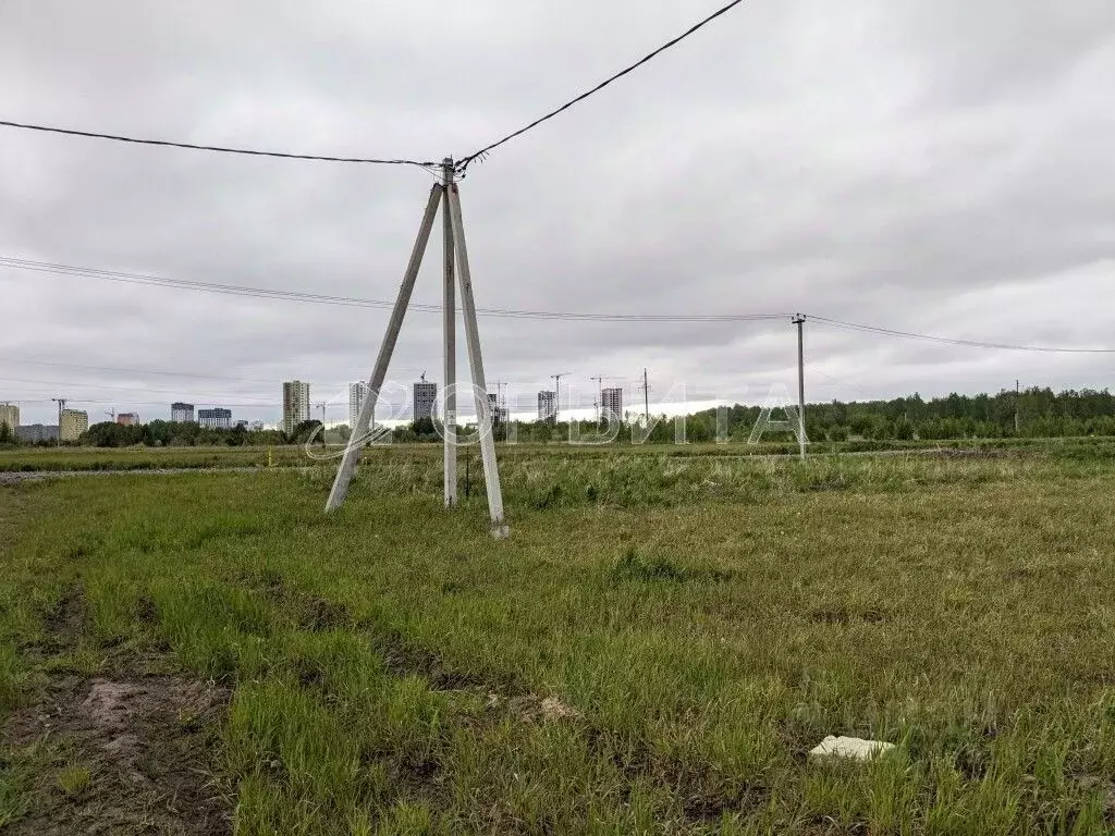 Участок в Тюменская область, Тюменский муниципальный округ, д. ... - Фото 2