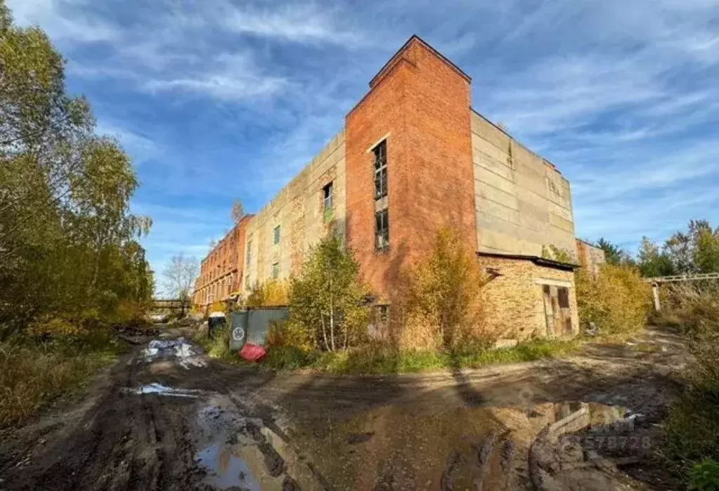 Производственное помещение в Московская область, Ногинск Богородский ... - Фото 1