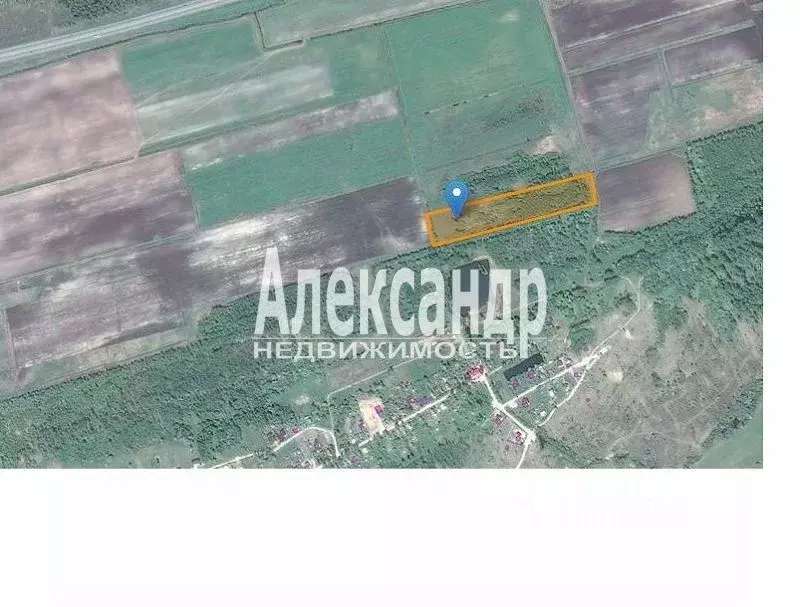 Участок в Ленинградская область, Кировский район, Путиловское с/пос, ... - Фото 2