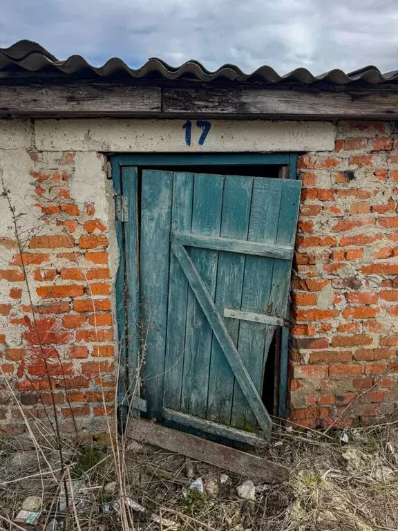 Помещение свободного назначения в Орловская область, Кромы пгт ул. К. ... - Фото 1