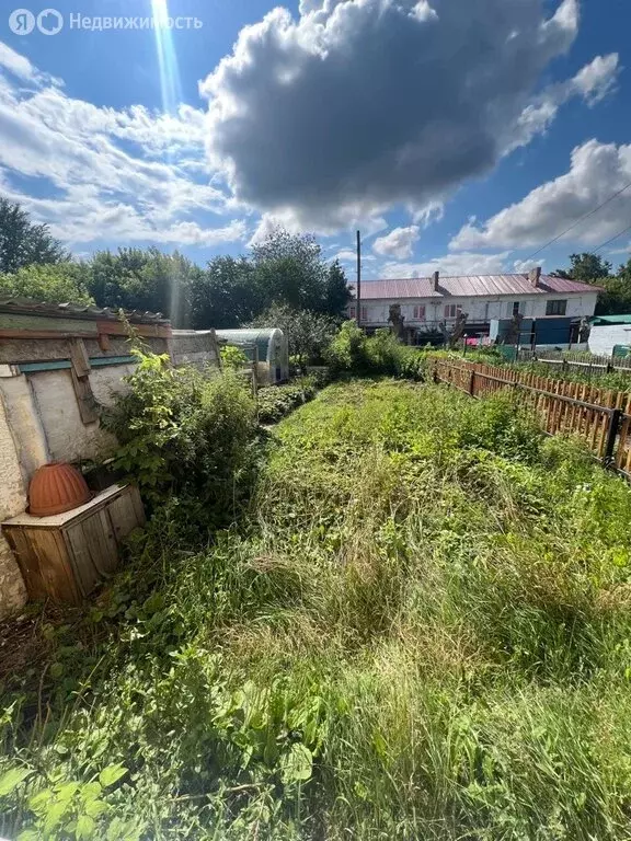 1к в 3-комнатной квартире (16.5 м) - Фото 0