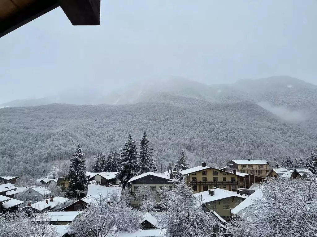 Дом в Краснодарский край, Сочи Красная Поляна пгт, ул. Волоколамская ... - Фото 2