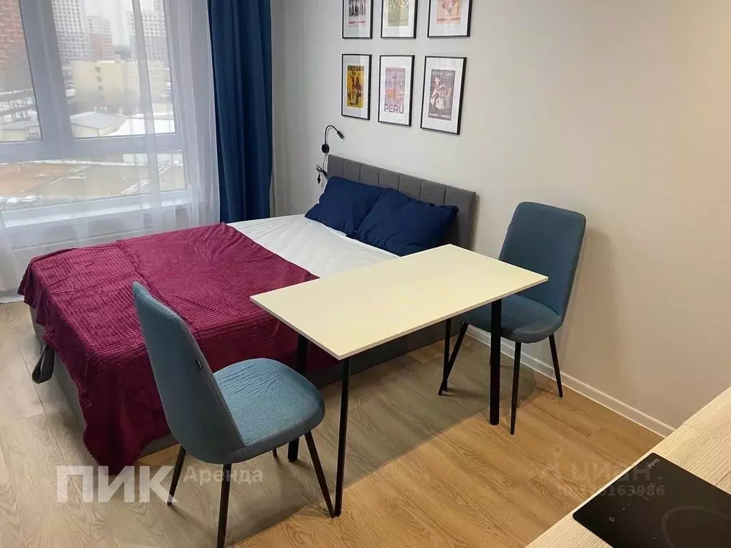 Студия Московская область, Одинцово ул. Березовая, 2 (19.8 м) - Фото 2