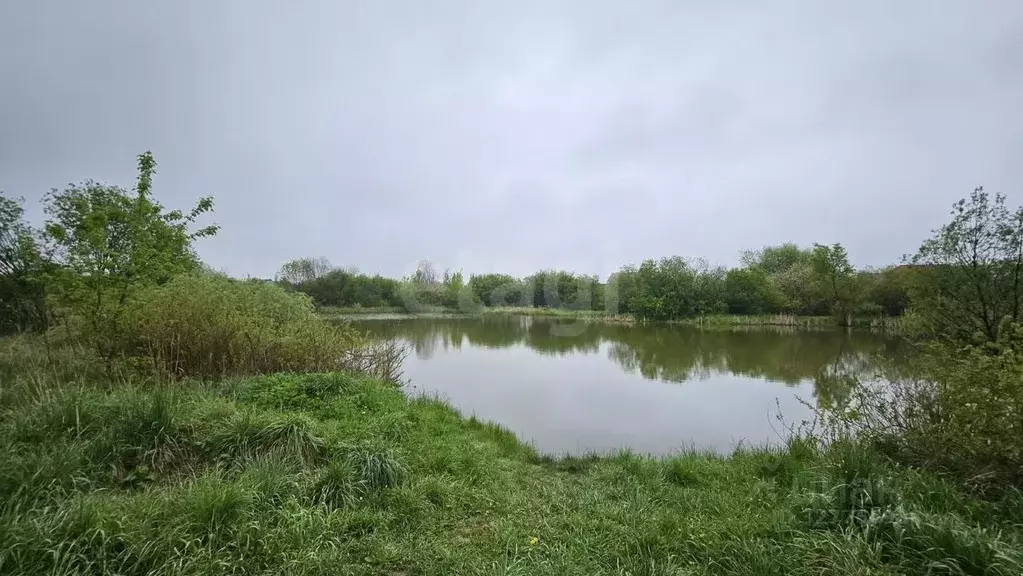 Участок в Московская область, Раменский муниципальный округ, Коптево ... - Фото 1