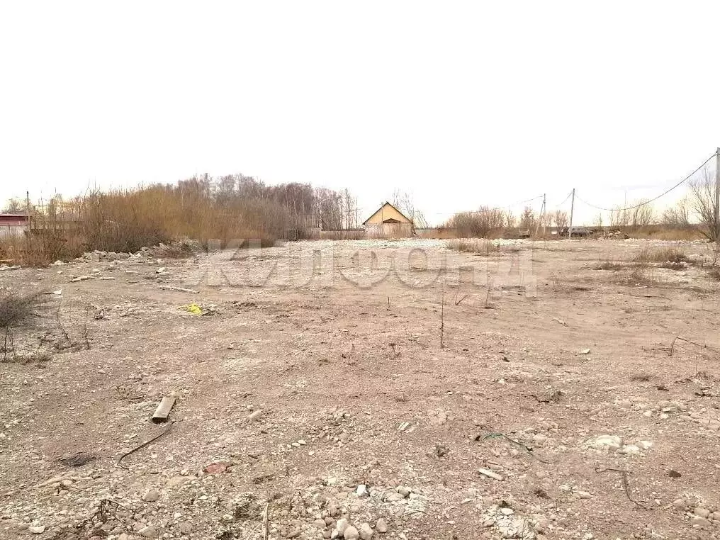 Участок в Новосибирская область, Новосибирский район, Криводановский ... - Фото 2