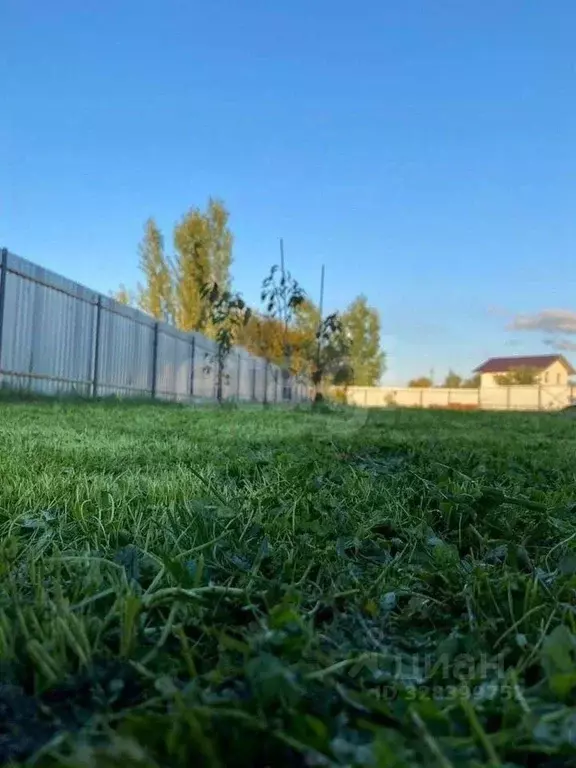 Участок в Воронежская область, Рамонский район, Новоживотинновское ... - Фото 1