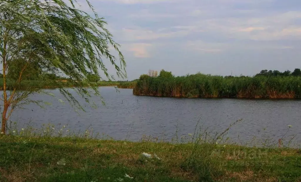 Участок в Краснодарский край, Тимашевский район, Медведовское с/пос, ... - Фото 2