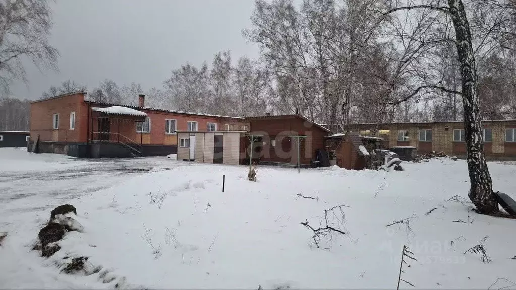 Помещение свободного назначения в Новосибирская область, Ордынский ... - Фото 1