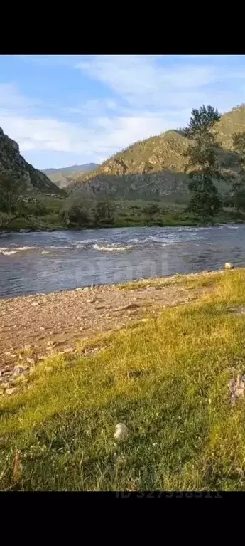 Участок в Алтай, с. Онгудай  (90.0 сот.) - Фото 1