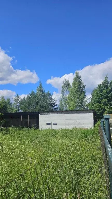 Участок в Московская область, Щелково городской округ, д. Новопареево ... - Фото 2