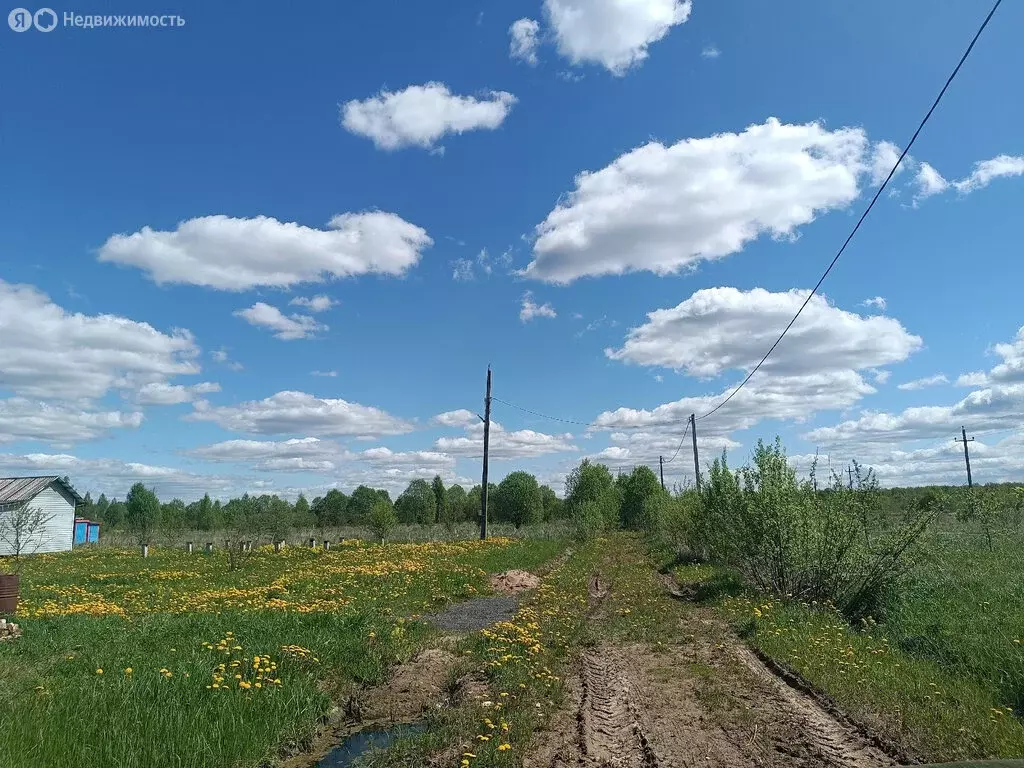 Участок в Савинское сельское поселение, деревня Дубровка (40.2 м) - Фото 1