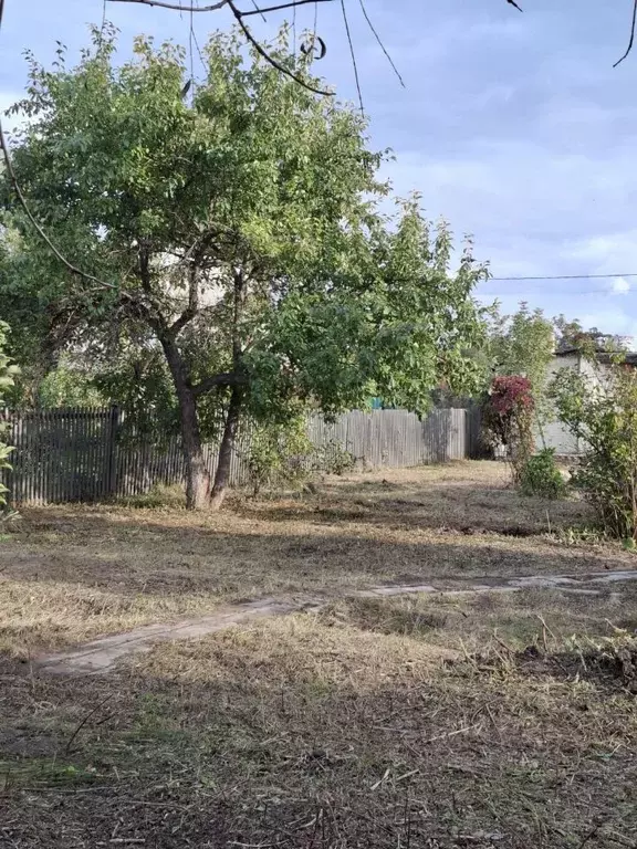 Участок в Омская область, Омск Изыскатель СНТ,  (8.16 сот.) - Фото 1