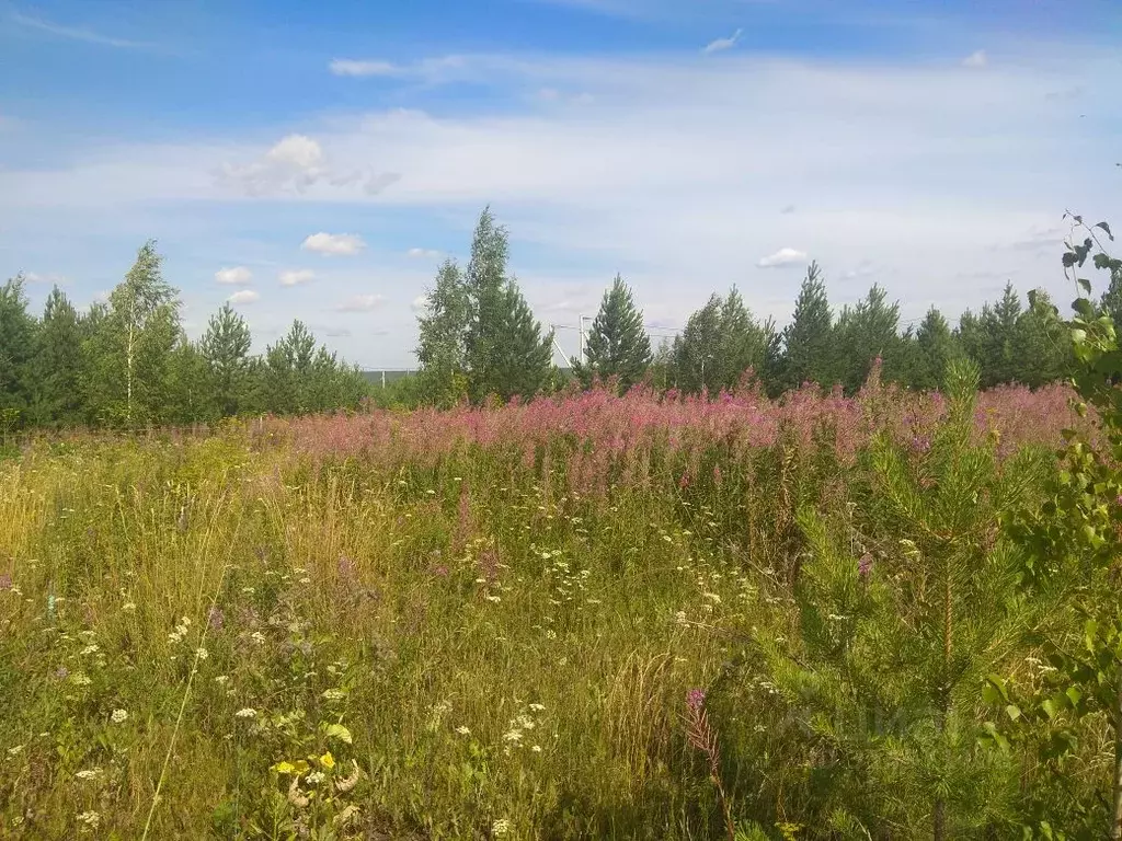 Участок в Свердловская область, Сысертский муниципальный округ, пос. ... - Фото 2