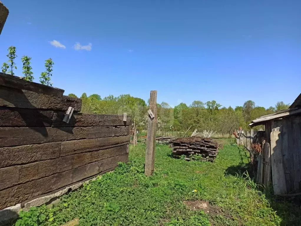 Участок в Брянская область, Брянский район, Стекляннорадицкое с/пос, ... - Фото 1