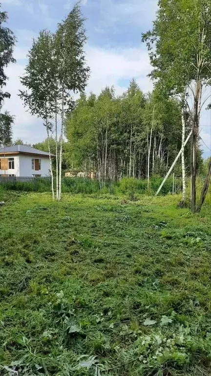 Участок в Ленинградская область, Всеволожский район, Куйвозовское ... - Фото 1