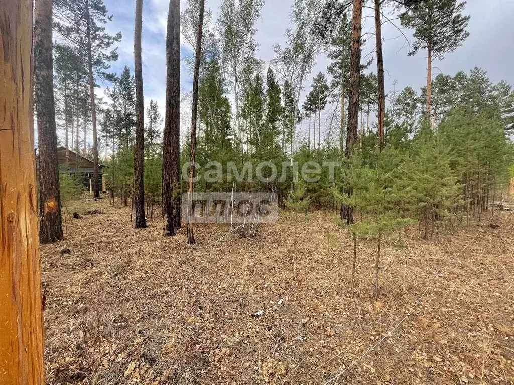 Участок в Забайкальский край, Читинский район, Березка ДНТ  (15.0 ... - Фото 1