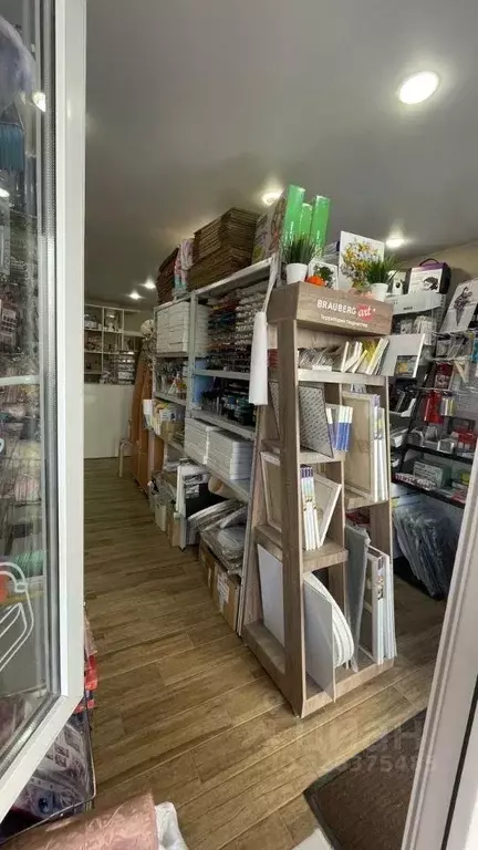 Помещение свободного назначения в Краснодарский край, Анапа ... - Фото 2