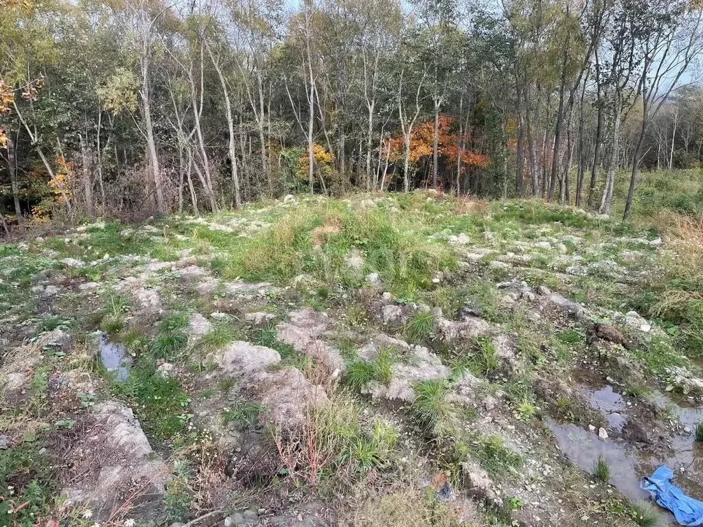 Участок в Сахалинская область, Анивский городской округ, с. Троицкое  ... - Фото 0