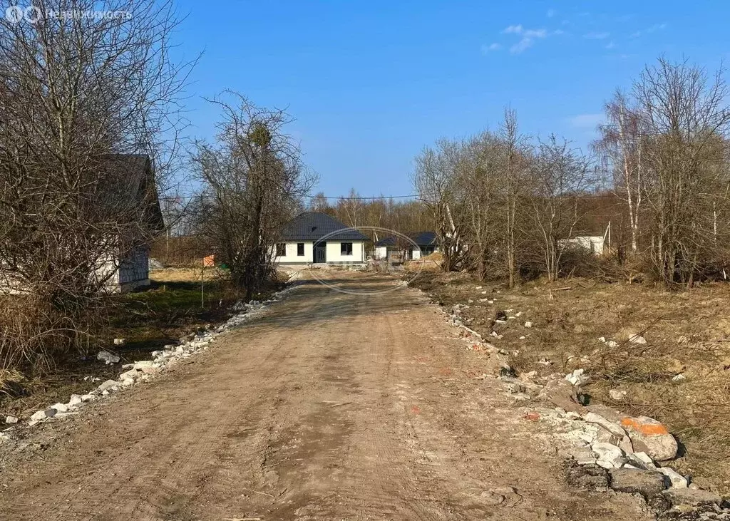 Участок в Калининградская область, Гурьевский муниципальный округ, ... - Фото 2