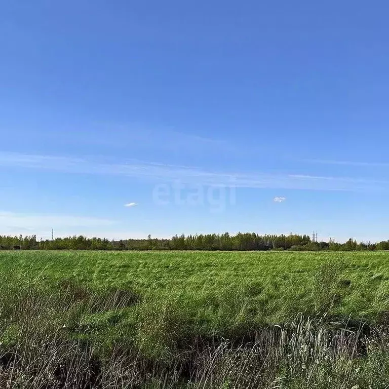 Участок в Ярославская область, Рыбинский муниципальный округ, ... - Фото 1