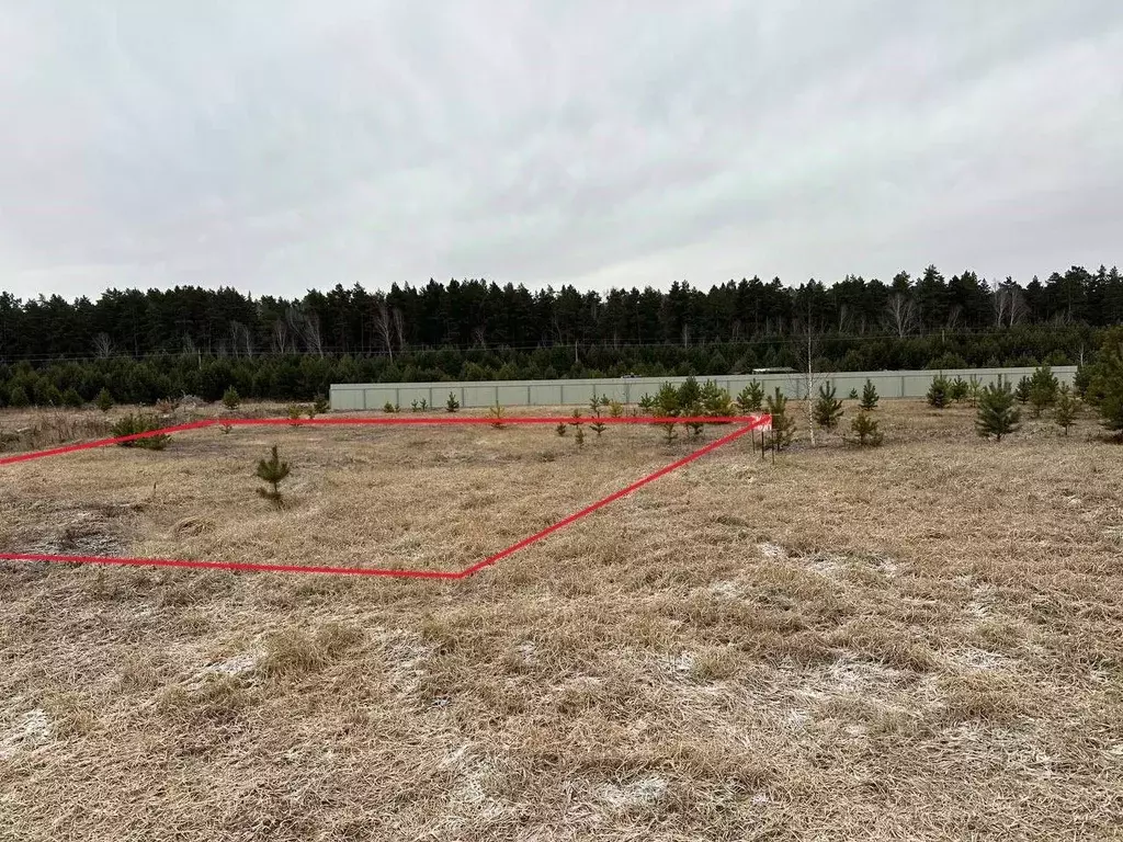 Участок в Тюменская область, Тюменский муниципальный округ, Серебряный ... - Фото 1