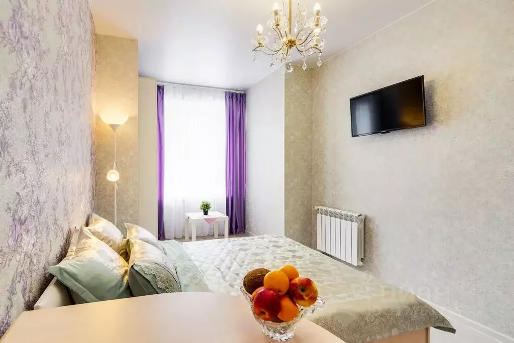 Студия Санкт-Петербург Московский просп., 73к5 (24.0 м) - Фото 1