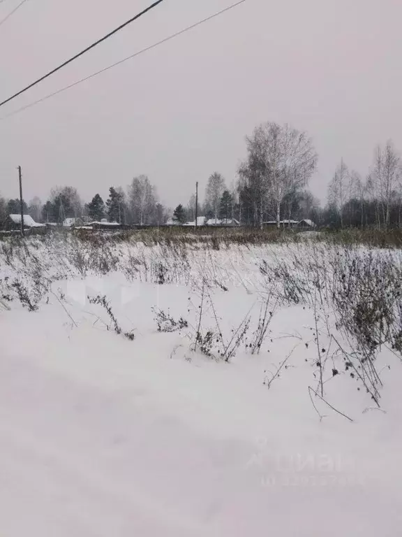 Участок в Тюменская область, Нижнетавдинский муниципальный округ, ... - Фото 1