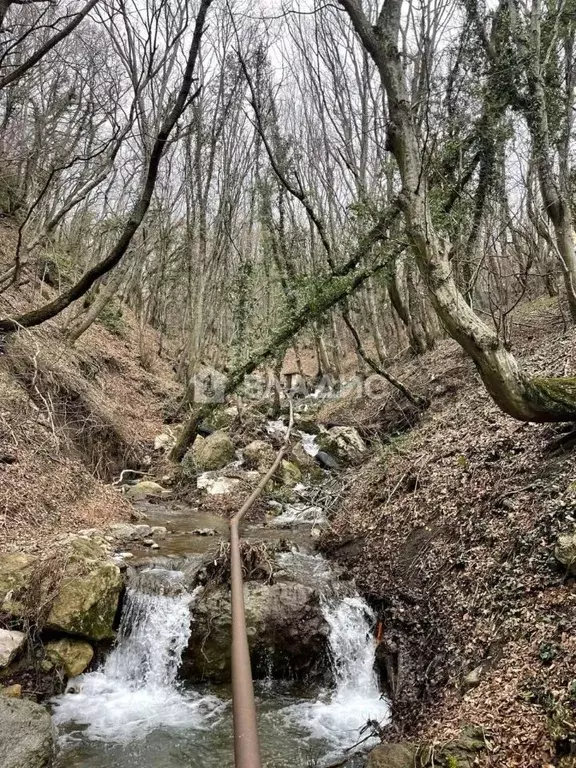 Участок в Крым, Ялта муниципальный округ, Голубой Залив пгт  (6.0 ... - Фото 1