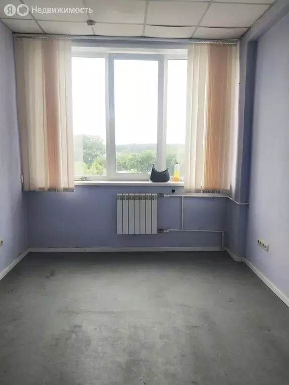 Офис (23 м) - Фото 2