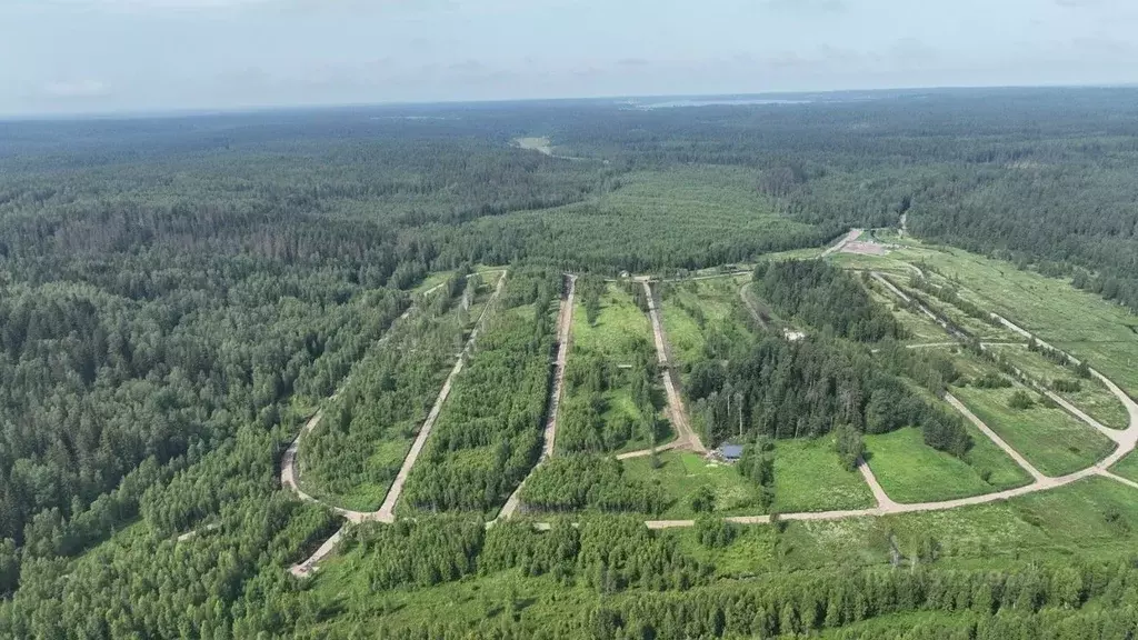 Участок в Ленинградская область, Приозерский район, Раздольевское ... - Фото 1