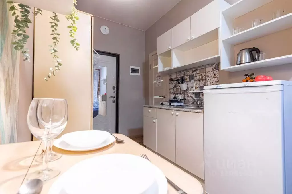 1-к кв. Санкт-Петербург 8-я Красноармейская ул., 14 (12.0 м) - Фото 1