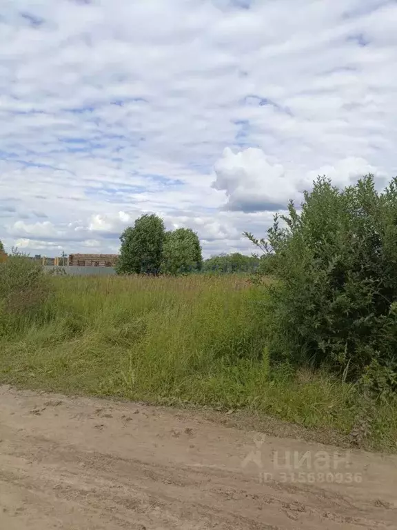 Участок в Нижегородская область, Богородский муниципальный округ, с. ... - Фото 1