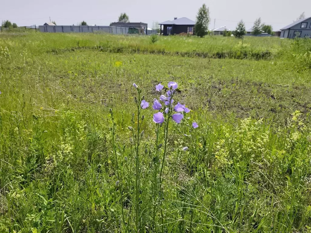 Участок в Башкортостан, Уфимский район, Русско-Юрмашский сельсовет, д. ... - Фото 1