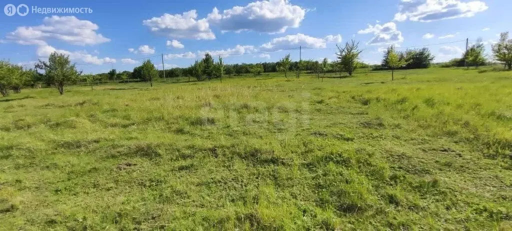 Участок в Рамонский район, село Русская Гвоздёвка (9 м) - Фото 1