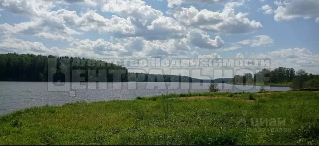 Участок в Смоленская область, Рославльский муниципальный округ, д. ... - Фото 2