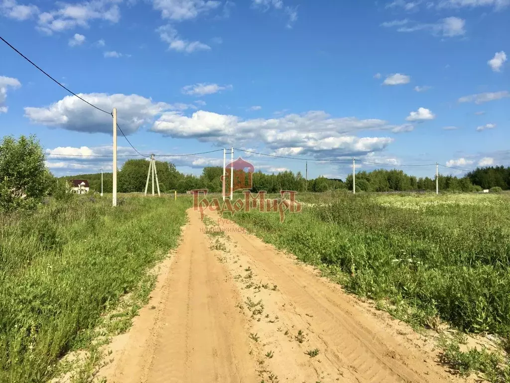 Участок в Владимирская область, Александровский район, Андреевское ... - Фото 1