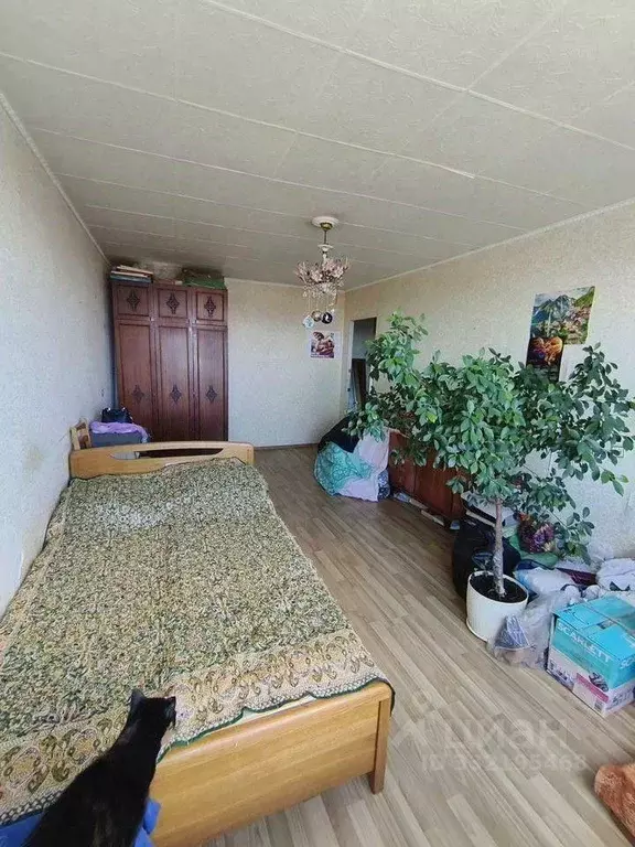 3-к кв. Севастополь ул. Харьковская, 33 (78.4 м) - Фото 1