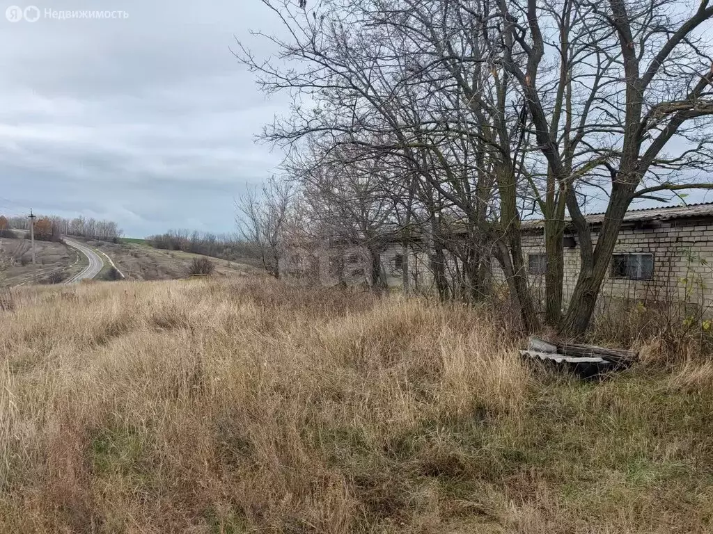 Участок в Алексеенково, Центральная улица (9371 м) - Фото 1