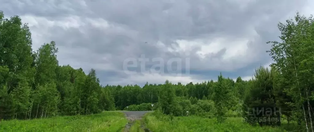 Участок в Тюменская область, Тюменский муниципальный округ, с. ... - Фото 1