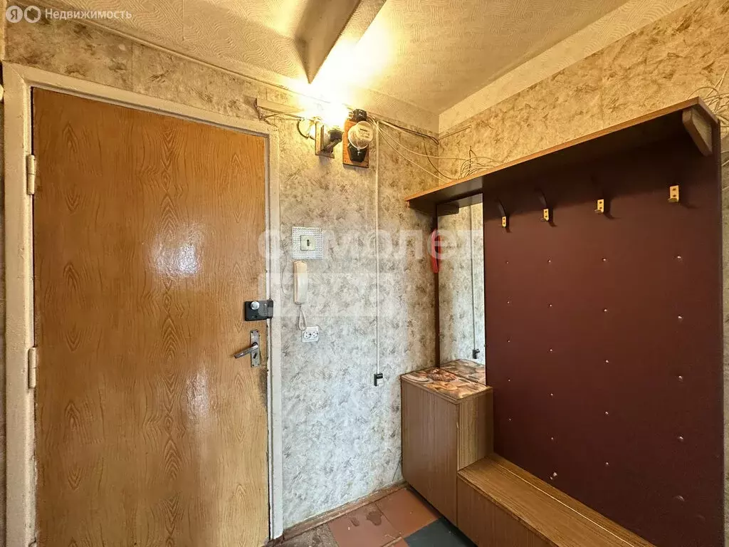 1-комнатная квартира: Колпино, Павловская улица, 38/17 (33.7 м) - Фото 1