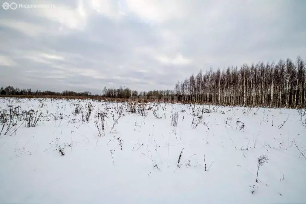 Участок в Нижегородская область, Городецкий муниципальный округ, ... - Фото 1