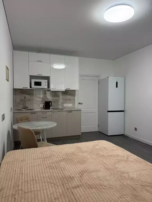 Студия Санкт-Петербург просп. Буденного, 15 (24.7 м) - Фото 1