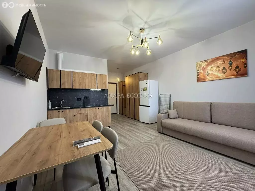 Квартира-студия: село Супсех, Серебряная улица, 118 (25 м) - Фото 1