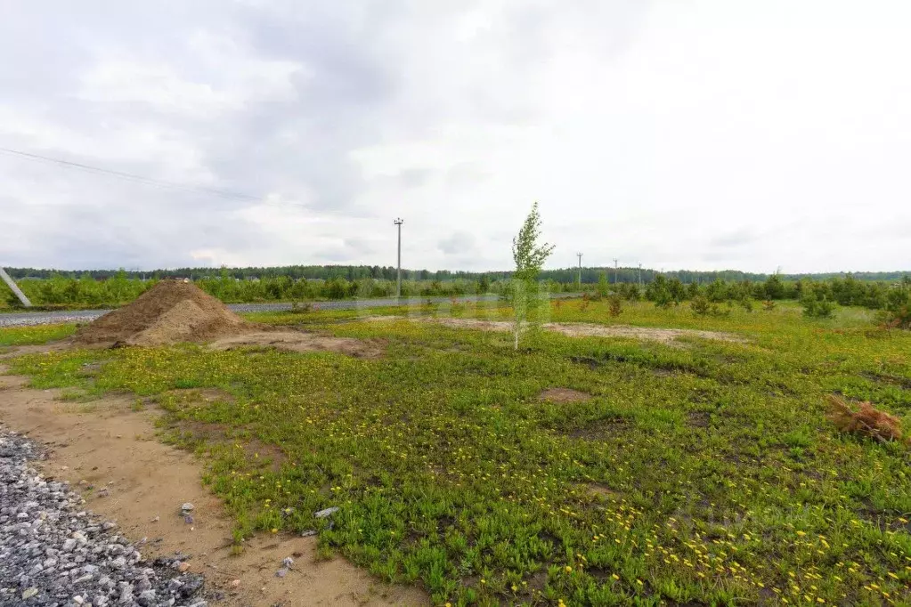 Участок в Тюменская область, Тюменский муниципальный округ, с. Кулига, ... - Фото 2