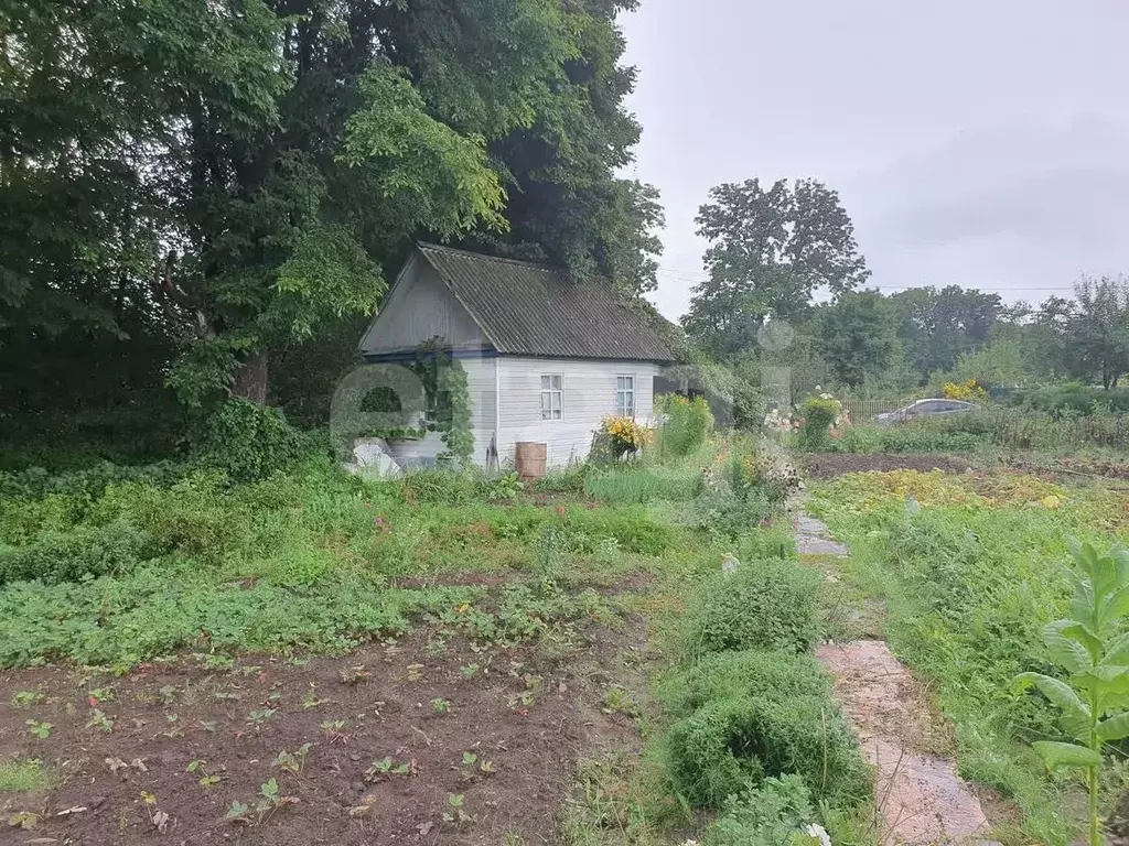 Дом в Приморский край, Арсеньев Ягодная ул. (15 м) - Фото 0