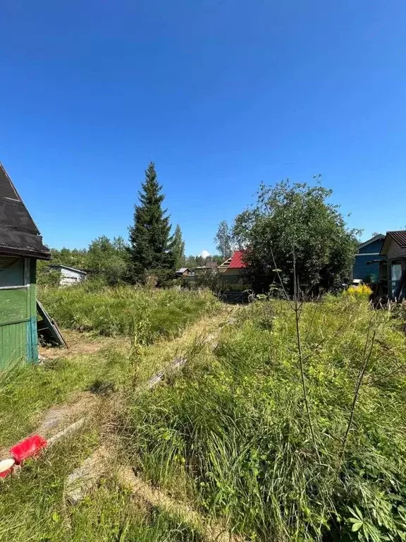Дом в Ленинградская область, Кировский район, Мгинское городское ... - Фото 1