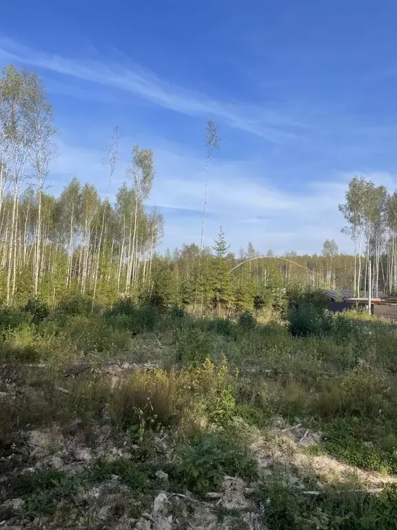 Участок в Московская область, Сергиево-Посадский городской округ, с. ... - Фото 0