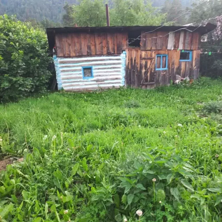 Дом в Алтай, Чемальский район, с. Чепош Спортивный пер., 7 (38 м) - Фото 2