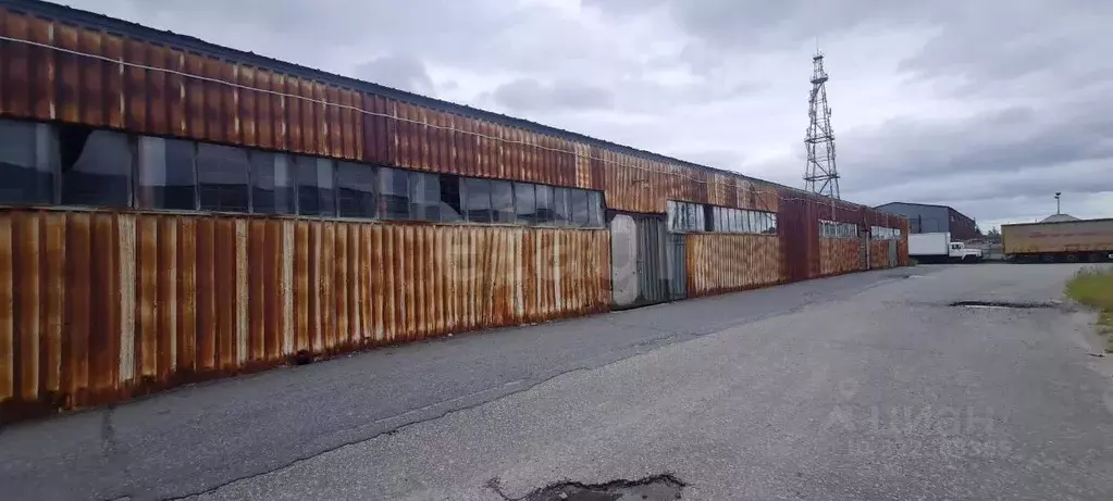 Склад в Ямало-Ненецкий АО, Новый Уренгой Территория Восточная ... - Фото 2