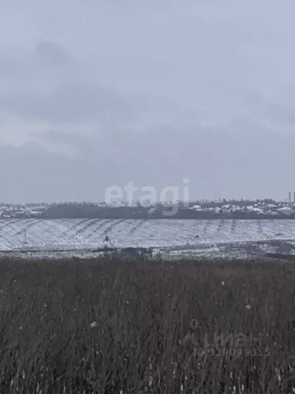 Участок в Белгородская область, Белгородский район, Головинское с/пос, ... - Фото 1